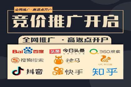 解析SEM竞价代运营的成功要素及案例